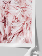 Pembe Çiçek Yaprakları - Art Print