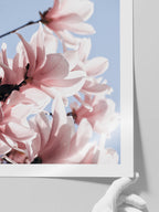 Manolya Çiçeği - Art Print