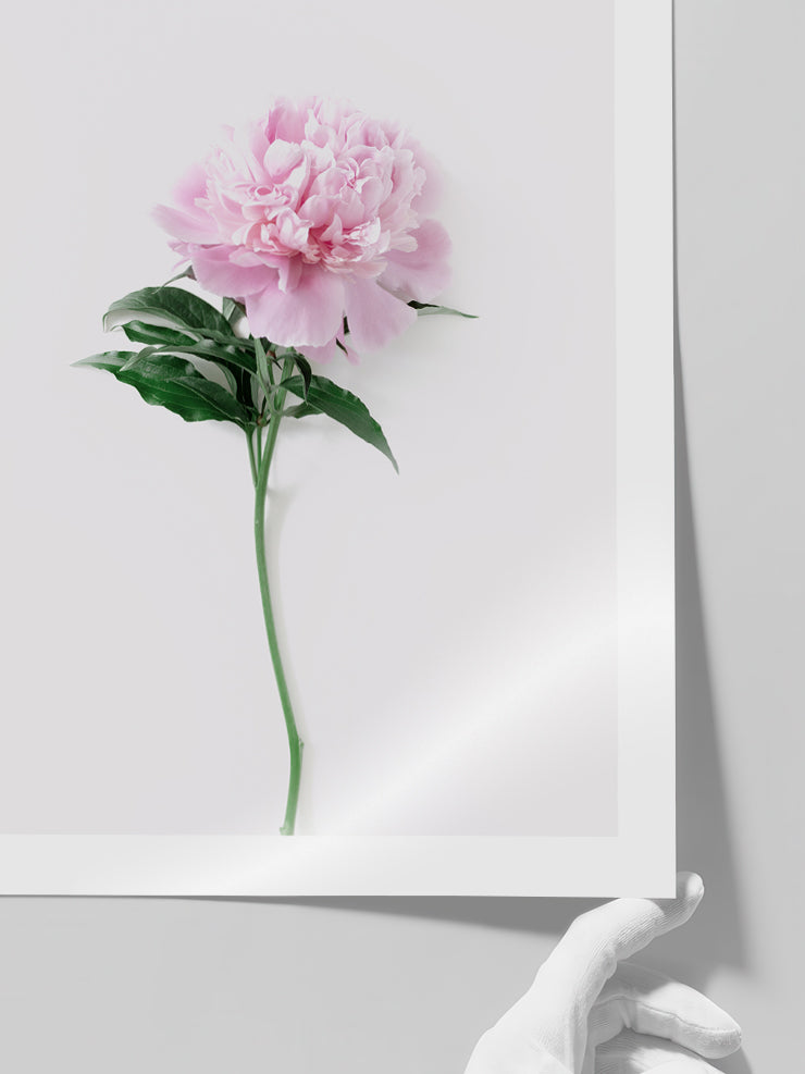 Ma Fleur Unique - Art Print