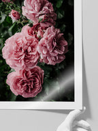 Bloom De Fleurs - Art Print