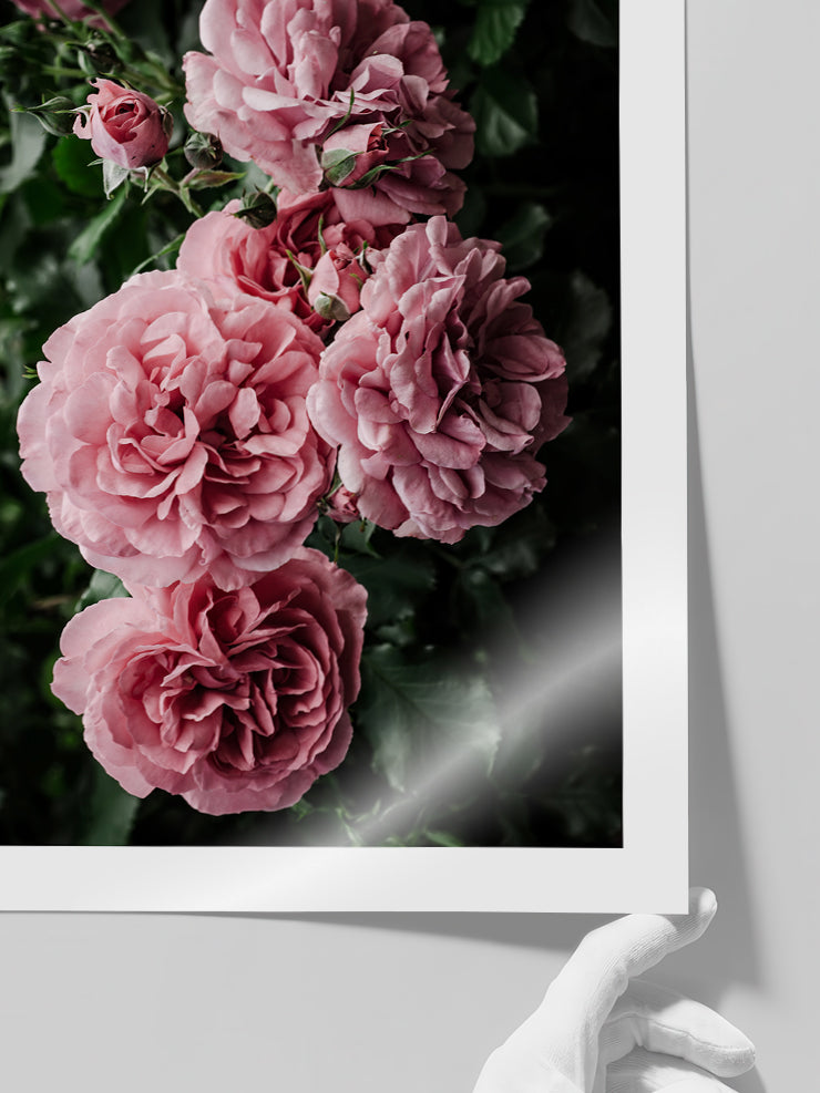 Bloom De Fleurs - Art Print