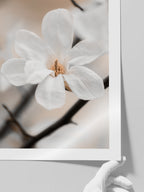 Çiçekli Dal N1 - Art Print