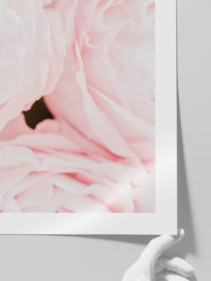 Les Roses - Art Print  Poster