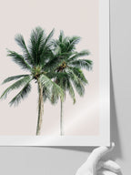 Les Palmiers - Art Print