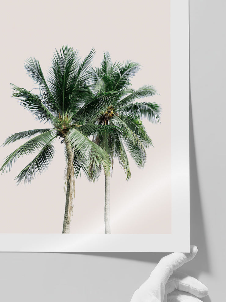 Les Palmiers - Art Print  Poster