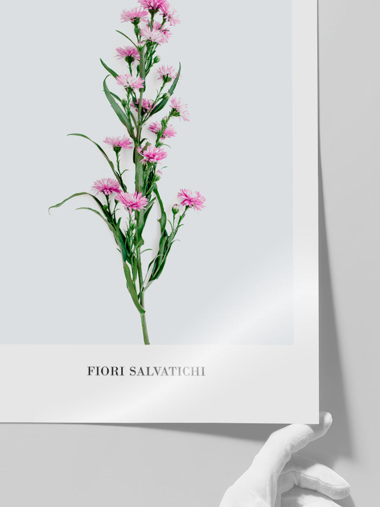 Fleur Sauvage - Art Print