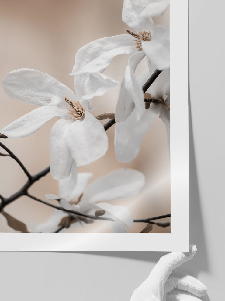 Çiçekli Dal N2 - Art Print  Poster