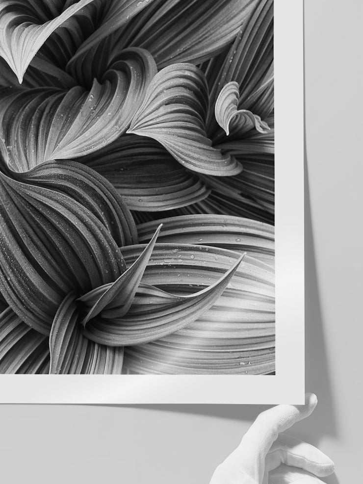 Perfection - Art Print  Poster
