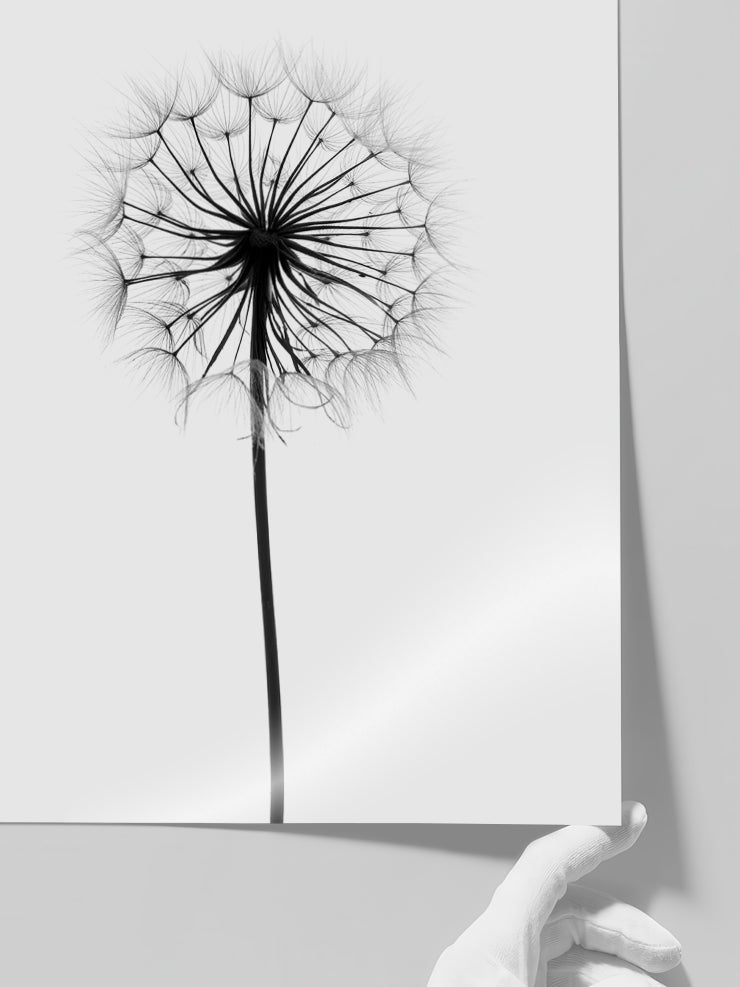 Dandelion N1 - Art Print  Poster