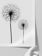 Dandelion N2 - Art Print