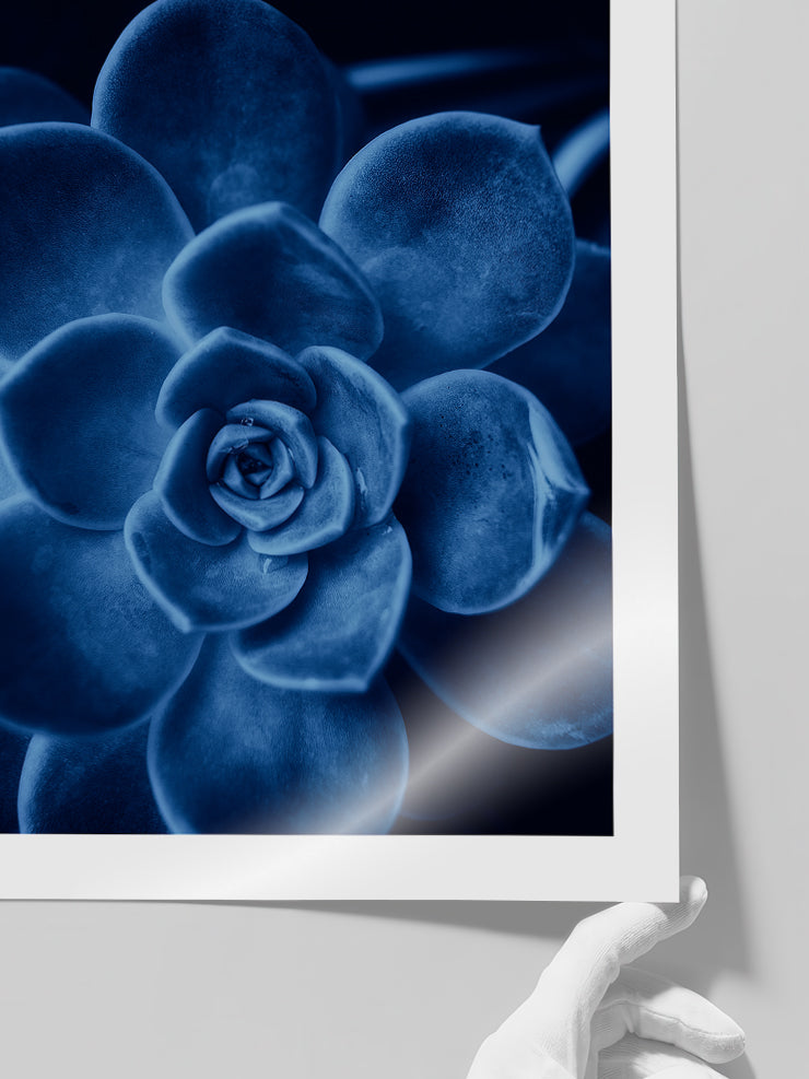 Derin Mavi - Art Print