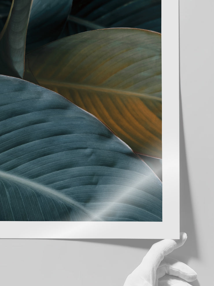 Makro Yaprak N1 - Art Print