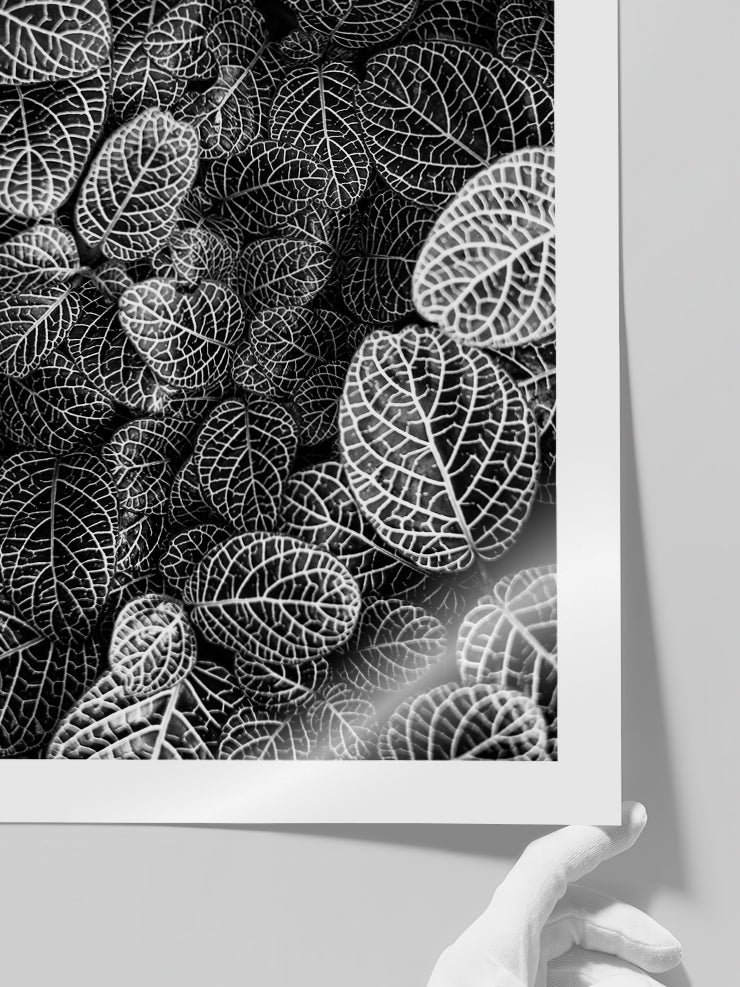 Leaves - Art Print