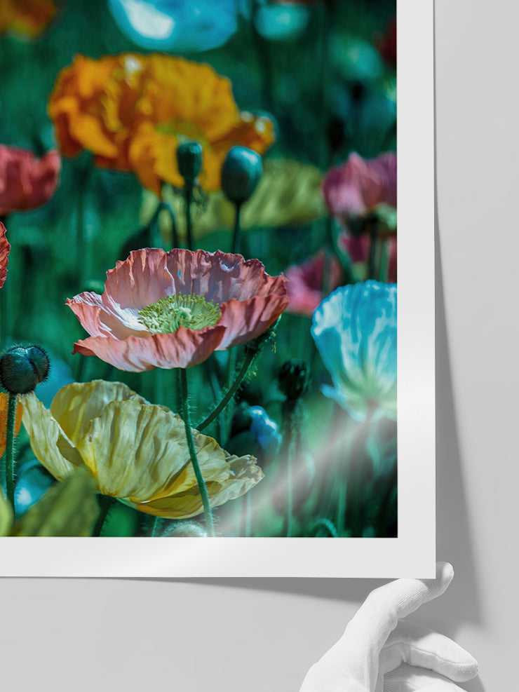 Rengarenk Çiçekler - Art Print