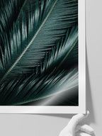 Palmiye Yaprakları - Art Print