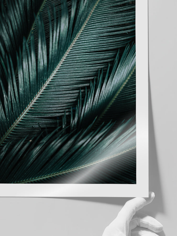 Palmiye Yaprakları - Art Print
