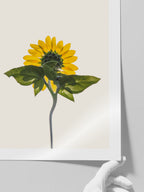 Ayçiçeği - Art Print