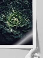 Abondance - Art Print