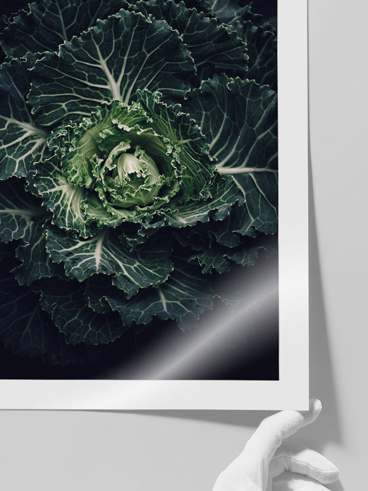 Abondance - Art Print