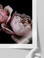 Makro Çiçek N2 - Art Print