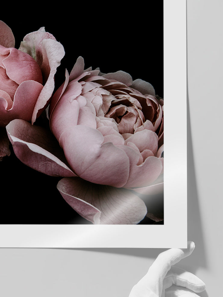 Makro Çiçek N2 - Art Print