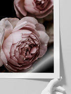 Makro Çiçek - Art Print