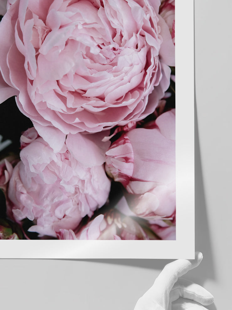 Parfum De Fleurs N1 - Art Print  Poster