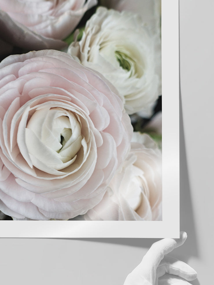 Gül Demeti N2 - Art Print