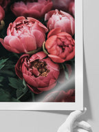 Pembe Buket - Art Print