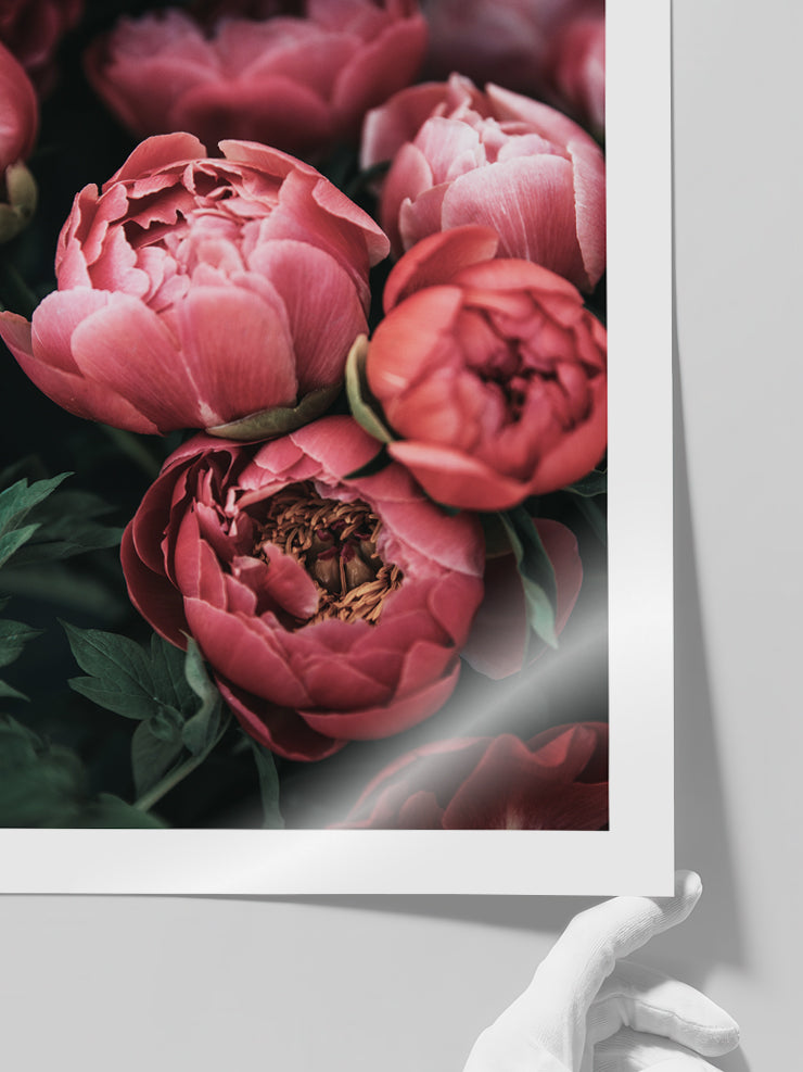 Pembe Buket - Art Print