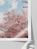Spring Tree - Art Print