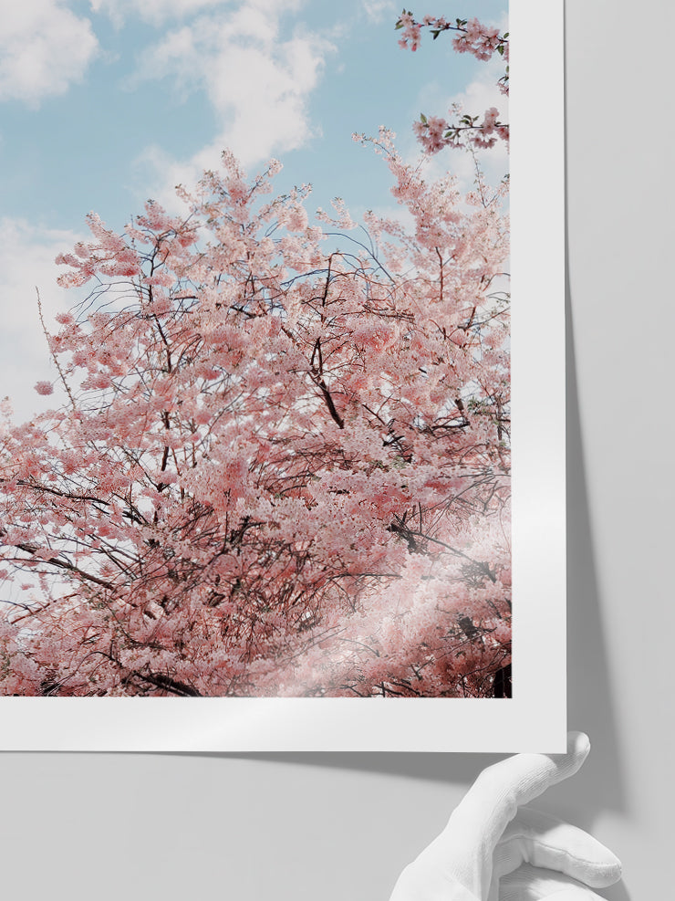 Spring Tree - Art Print  Poster