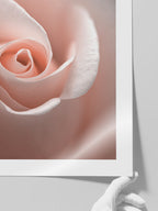 Close Up - Art Print