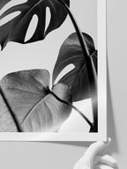 Gri Monstera - Art Print