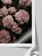 Garden Roses - Art Print