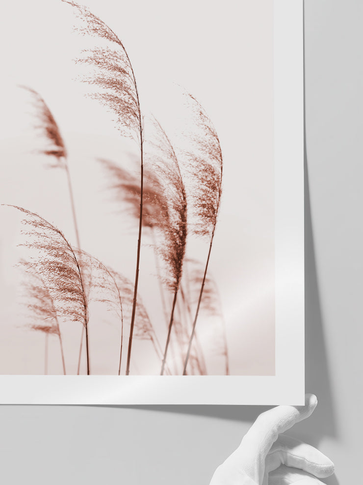 Silvestre N4 - Art Print