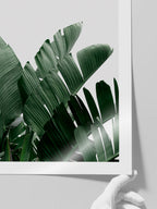 Yeşil Bitki Aşkı N3 - Art Print