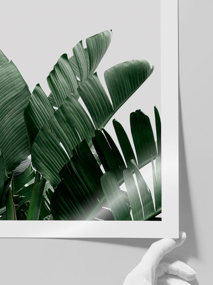 Yeşil Bitki Aşkı N3 - Art Print