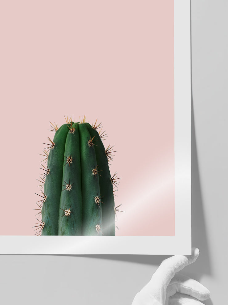 Le Cactus - Art Print  Poster