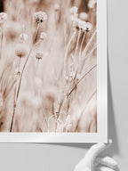 A Sweet Dawn - Art Print