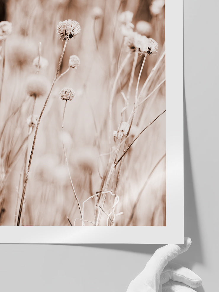 A Sweet Dawn - Art Print