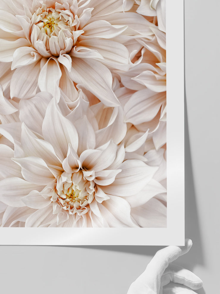 Quiet Moment - Art Print  Poster