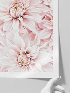 Quiet Moment Rose - Art Print