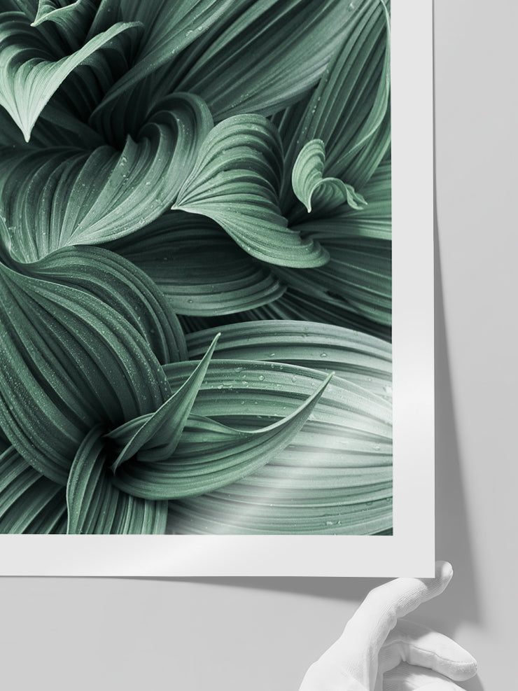 Green Perfection - Art Print