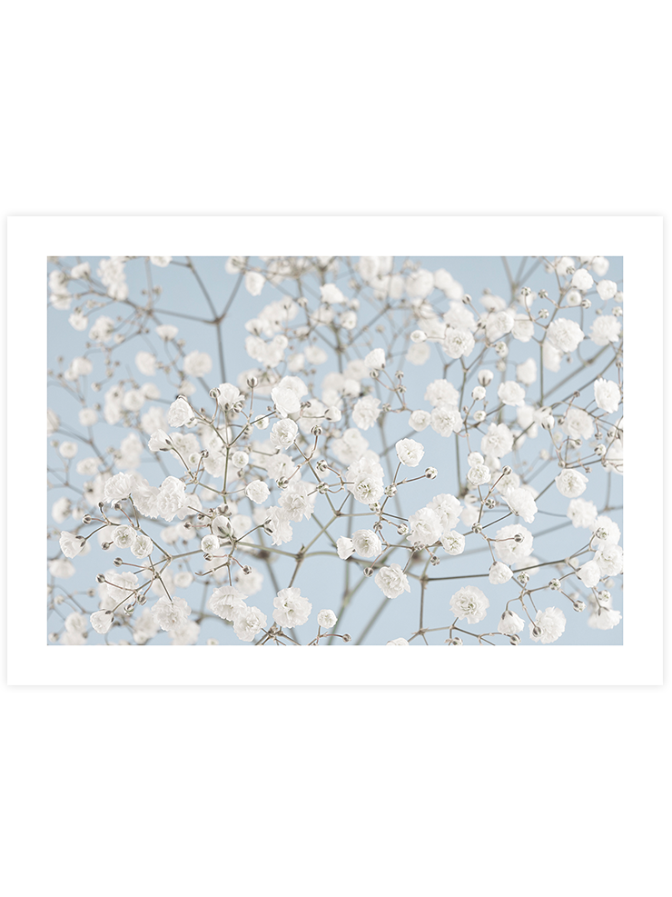 Douceur - Art Print Ürün ana görseli