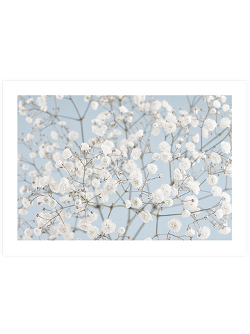 Douceur - Art Print