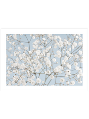 Douceur - Fine Art Poster