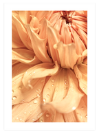 Color Power Poster Seti