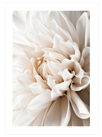 Touch of Charm - Poster Seti Trio