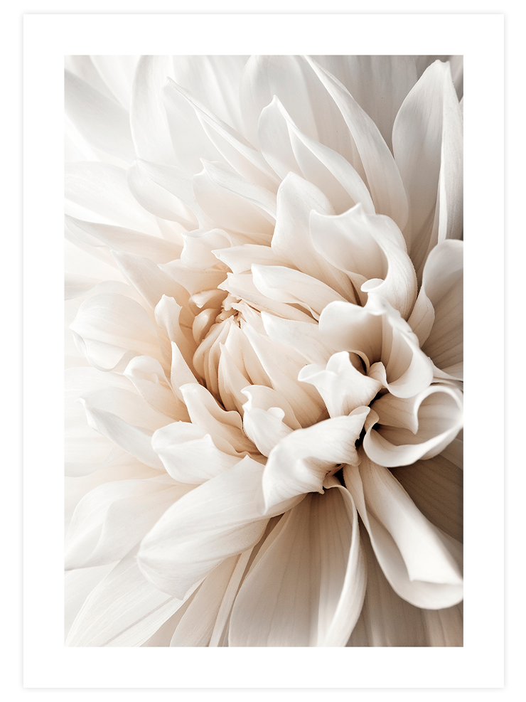 Touch of Charm - Poster Seti Trio